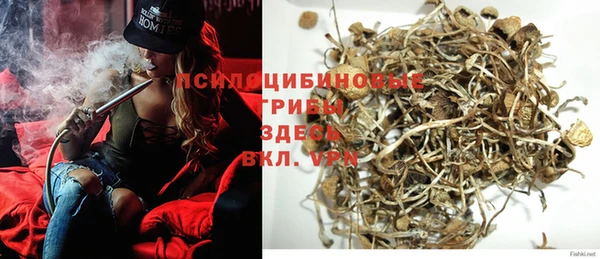 молекула духа Балахна