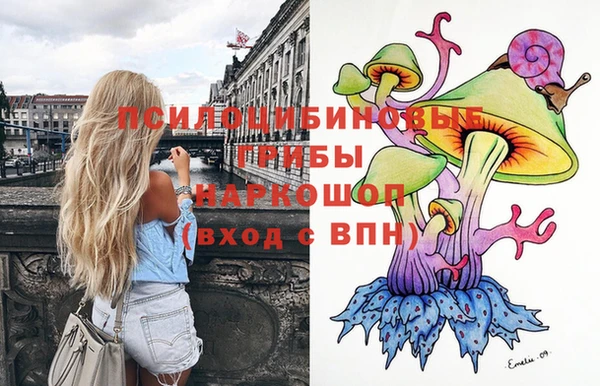 молекула духа Балахна